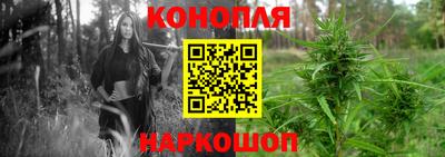Альфа ПВП Заводоуковск